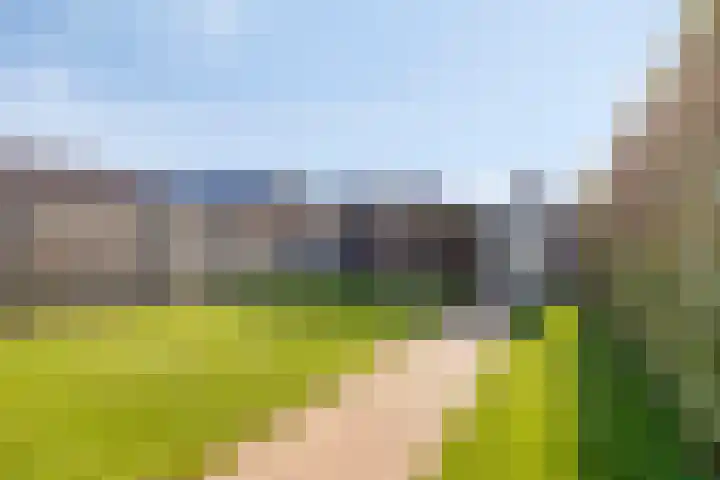 Dotterbloemstraat 6 Landhorst thumbnail 21