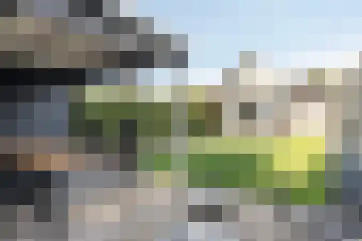Dotterbloemstraat 6 Landhorst thumbnail 23