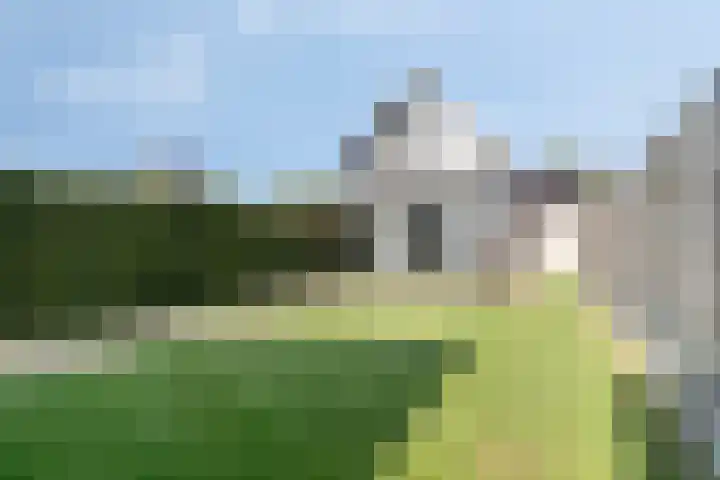 Dotterbloemstraat 6 Landhorst thumbnail 25