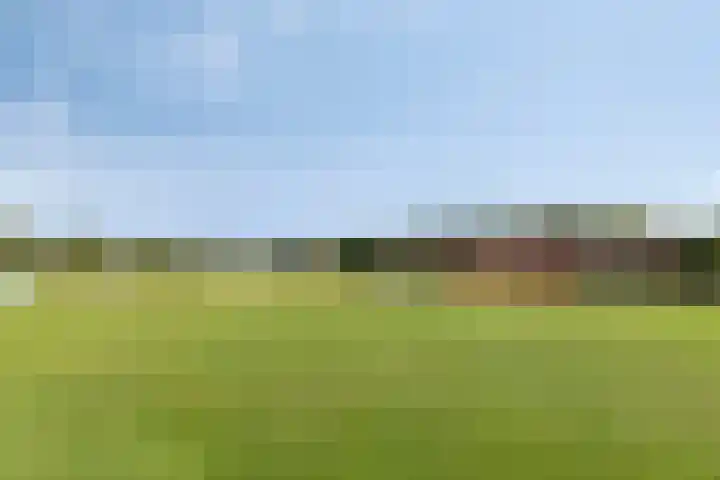 Dotterbloemstraat 6 Landhorst thumbnail 31