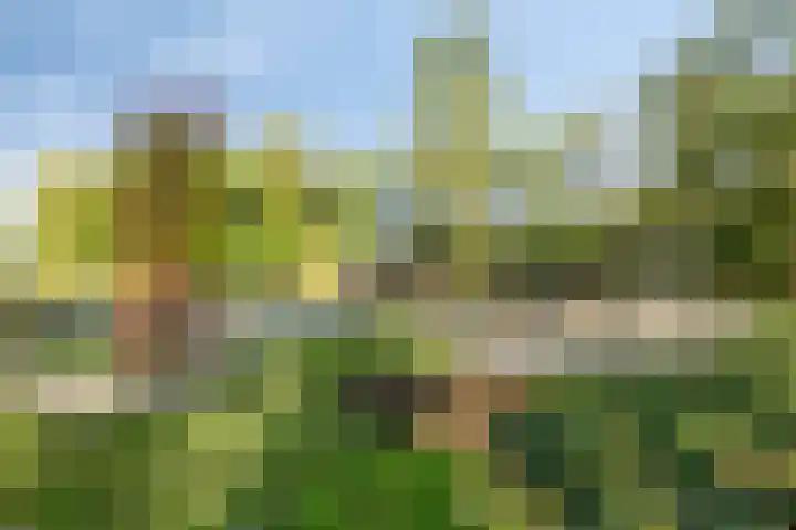 Dotterbloemstraat 6 Landhorst thumbnail 32