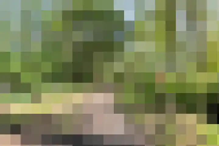 Dotterbloemstraat 6 Landhorst thumbnail 33