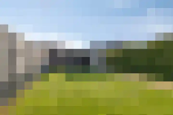 Dotterbloemstraat 6 Landhorst thumbnail 4