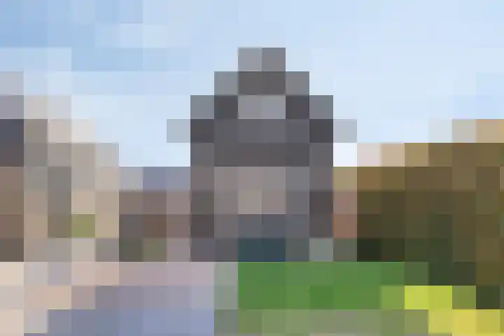 Dotterbloemstraat 6 Landhorst thumbnail 5