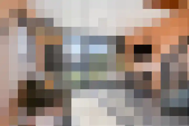 Dotterbloemstraat 6 Landhorst thumbnail 8