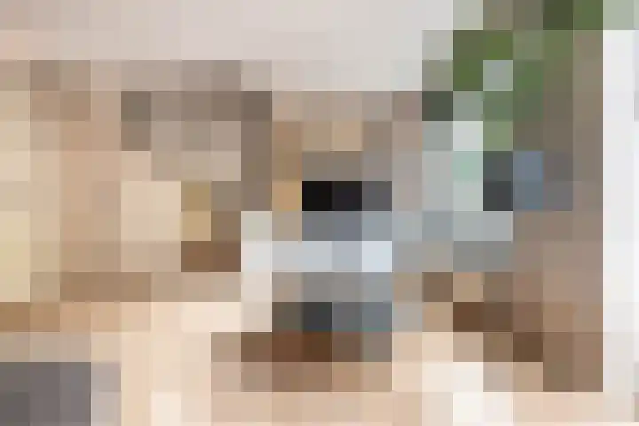 Dotterbloemweg 8 Kudelstaart thumbnail 10