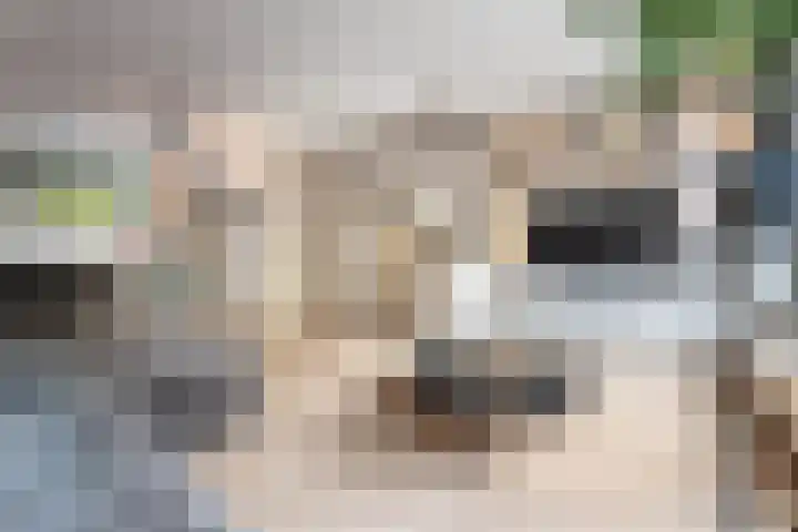 Dotterbloemweg 8 Kudelstaart thumbnail 11