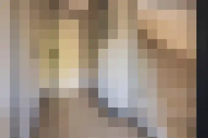 Dotterbloemweg 8 Kudelstaart thumbnail 25