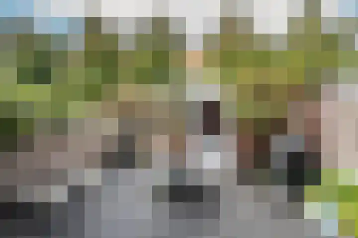 Dotterbloemweg 8 Kudelstaart thumbnail 32