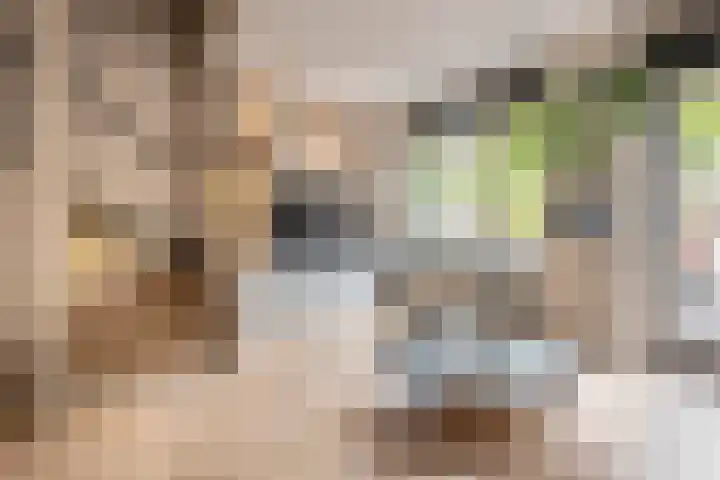 Dotterbloemweg 8 Kudelstaart thumbnail 9