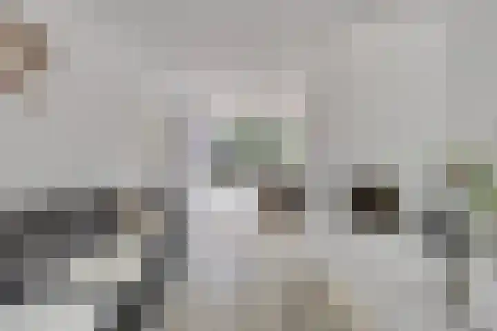 Dotterlaan 25 Arnhem thumbnail 11