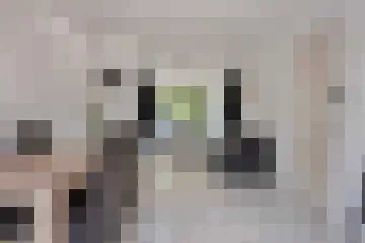 Dotterlaan 25 Arnhem thumbnail 13