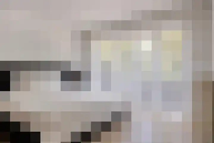 Dotterlaan 25 Arnhem thumbnail 16