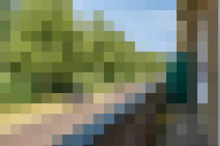 Dotterlaan 25 Arnhem thumbnail 18