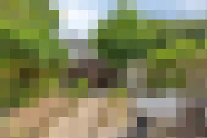 Dotterlaan 25 Arnhem thumbnail 23
