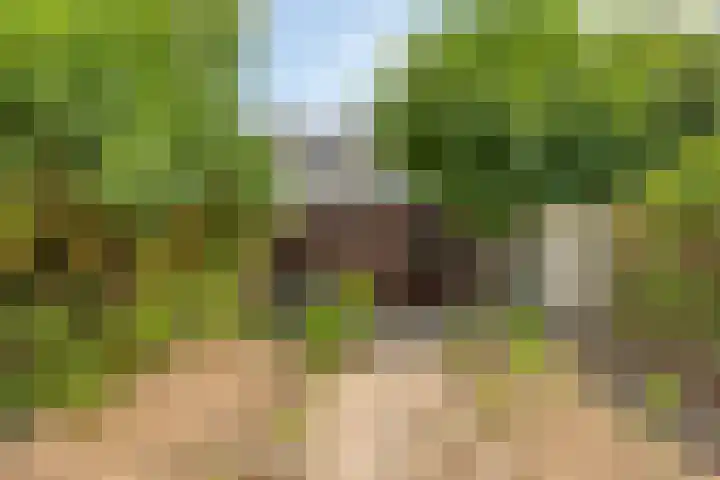 Dotterlaan 25 Arnhem thumbnail 24