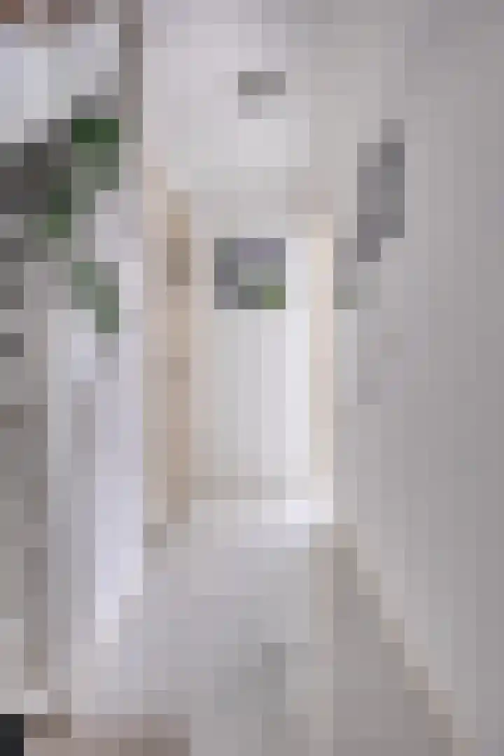 Dotterlaan 25 Arnhem thumbnail 8