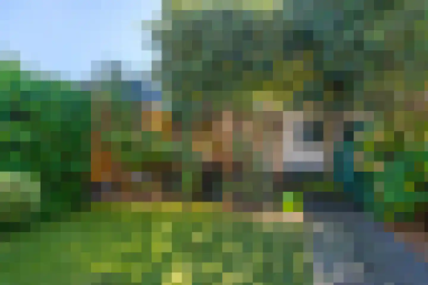 Dotterlaan 26 Arnhem thumbnail 26