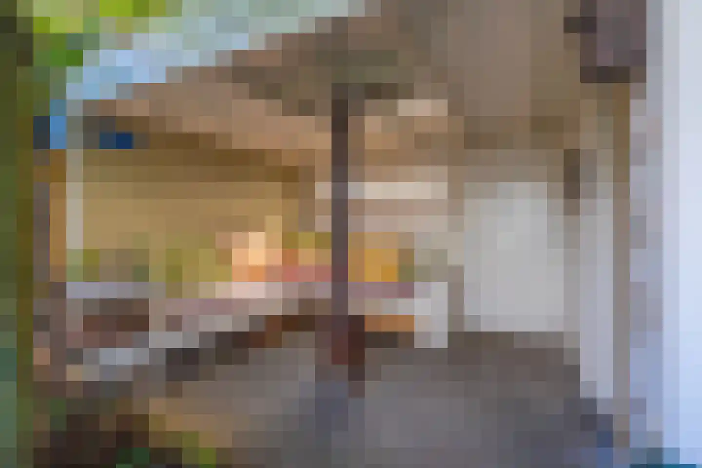 Dotterlaan 26 Arnhem thumbnail 28