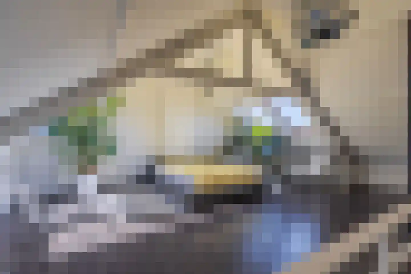 Dotterlaan 26 Arnhem thumbnail 42