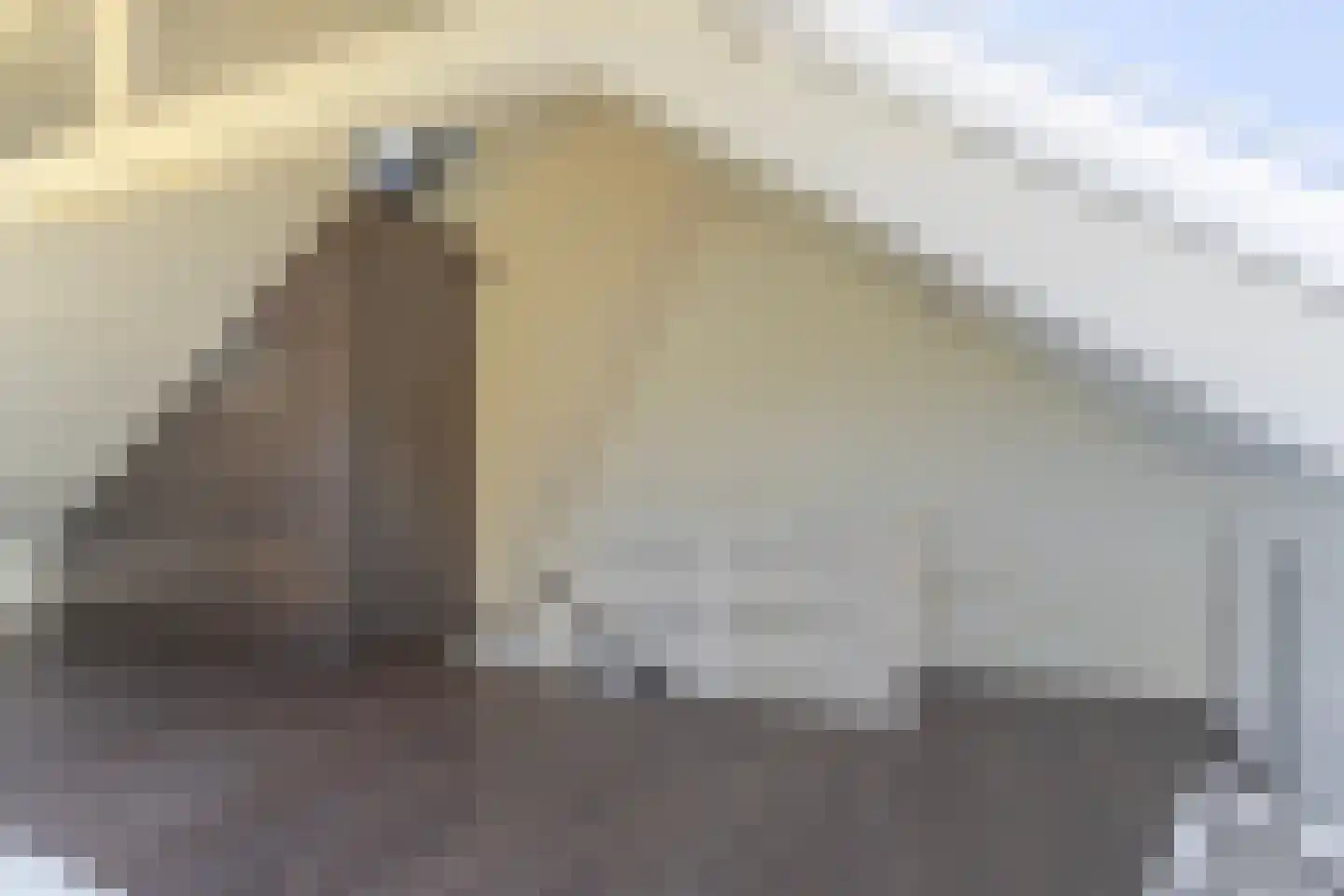 Dotterlaan 26 Arnhem thumbnail 43