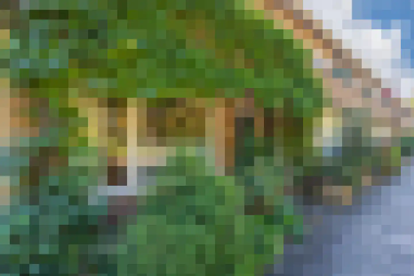 Dotterlaan 26 Arnhem thumbnail 44