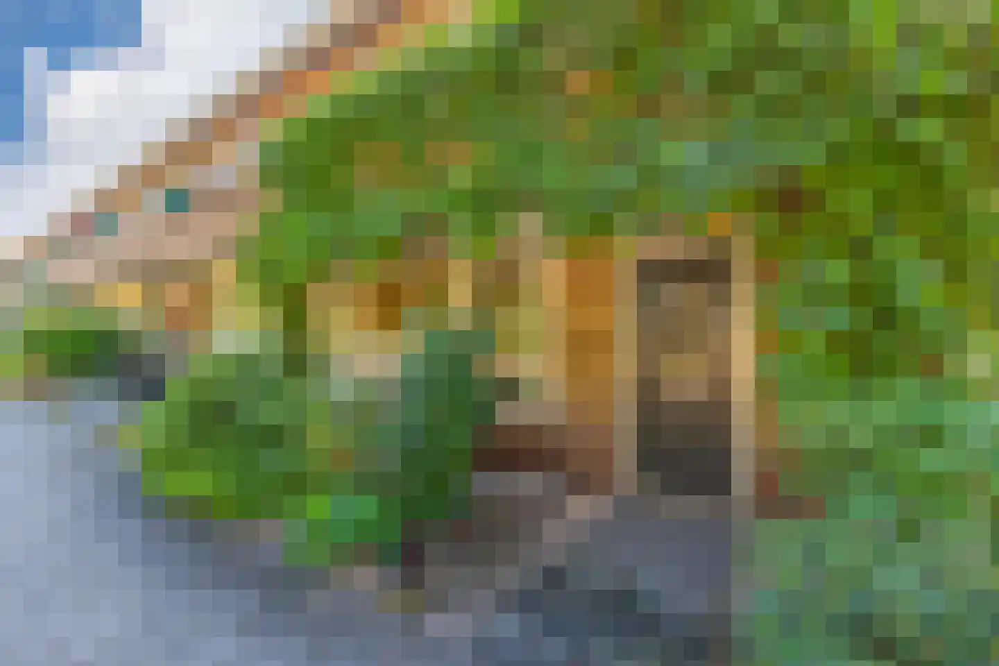 Dotterlaan 26 Arnhem thumbnail 6