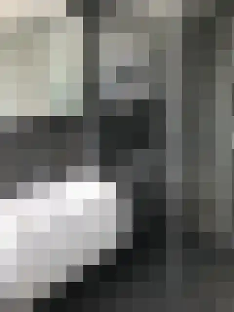 Dotterlaan 40 Arnhem thumbnail 4
