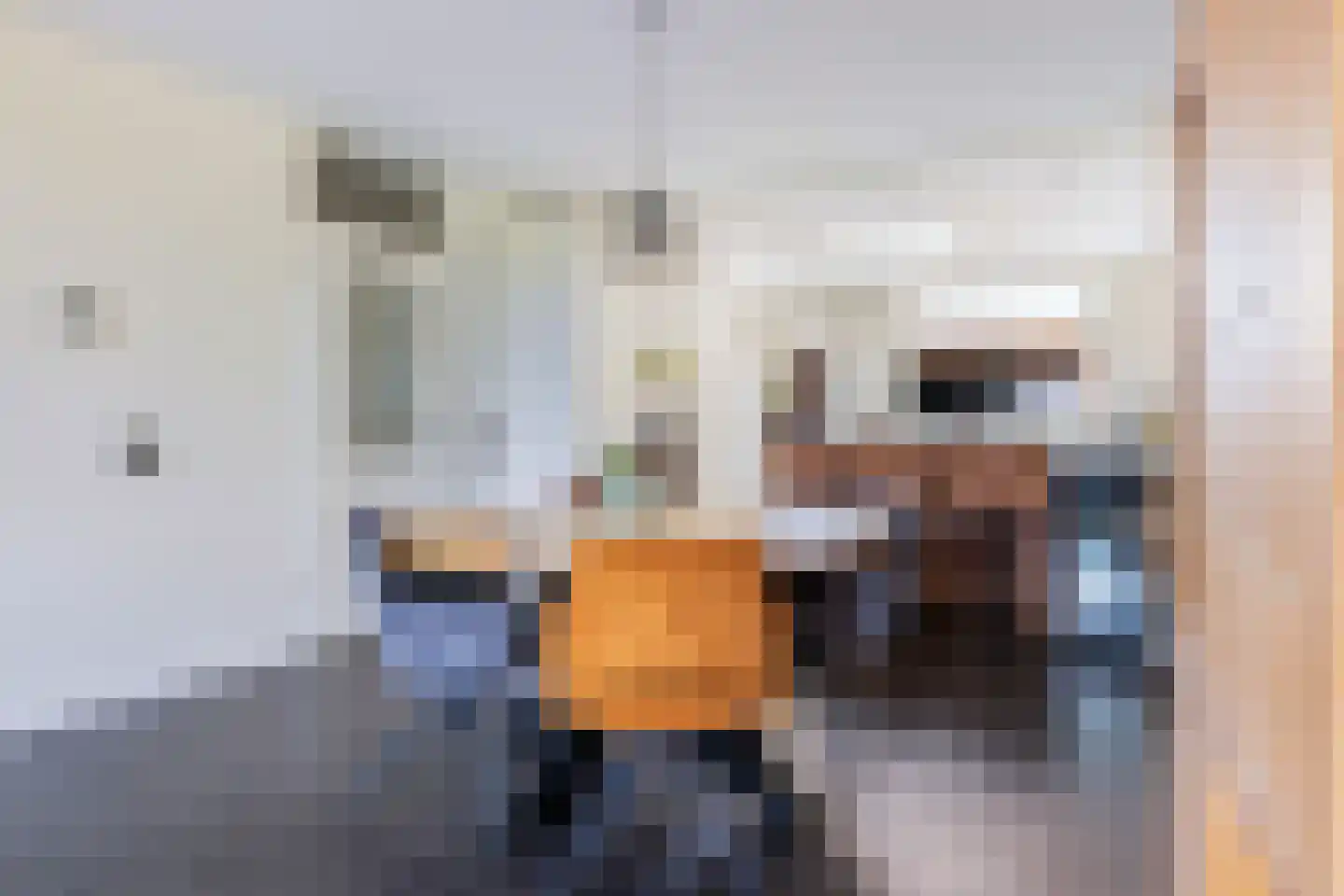 Dotterlei 24 Gouderak thumbnail 14