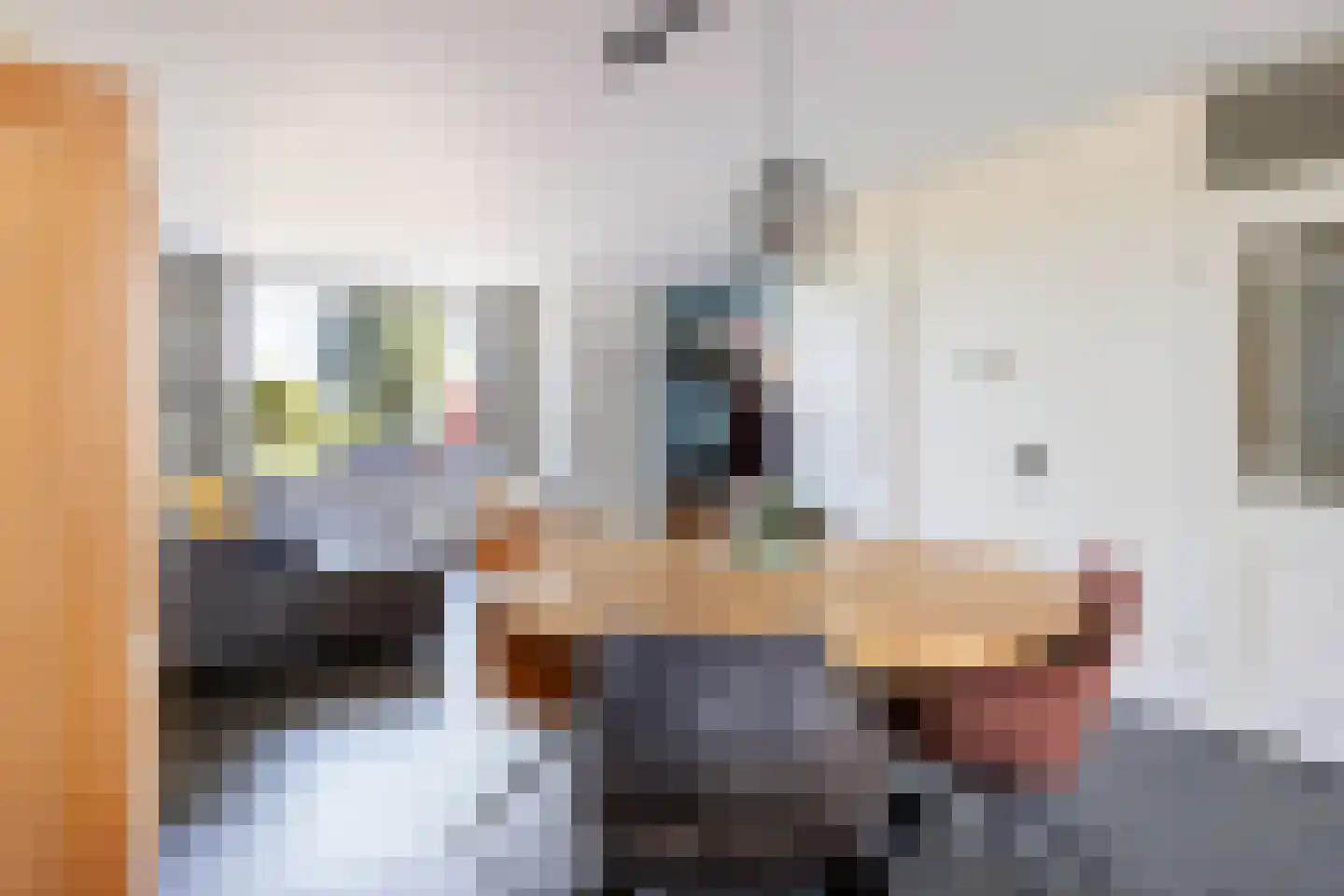 Dotterlei 24 Gouderak thumbnail 15