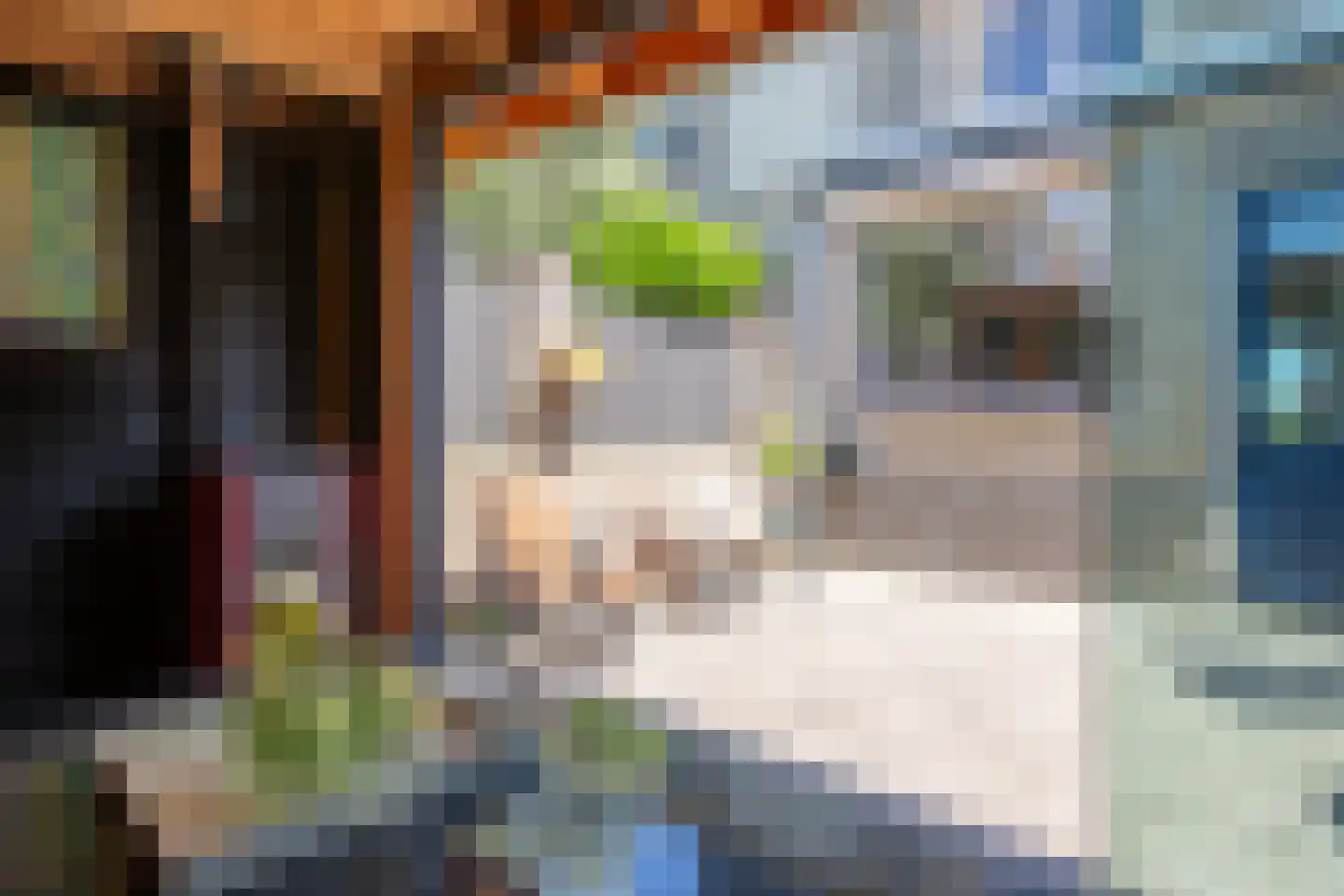 Dotterlei 24 Gouderak thumbnail 32