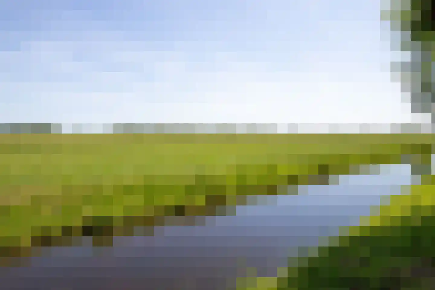 Dotterlei 24 Gouderak thumbnail 67