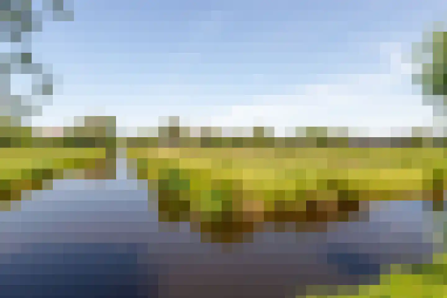 Dotterlei 24 Gouderak thumbnail 68