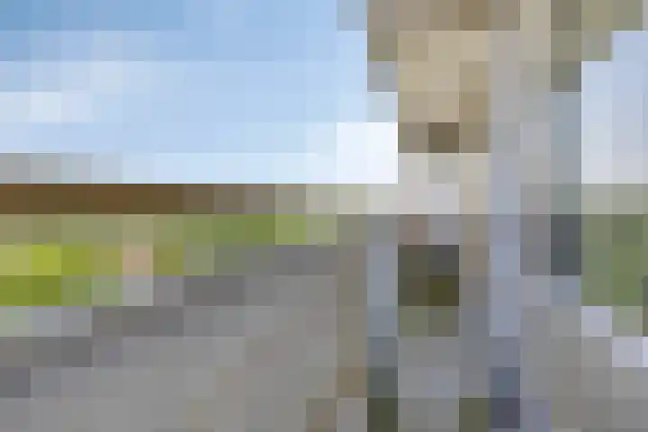 Dotterlei 729 Capelle aan den IJssel thumbnail 13