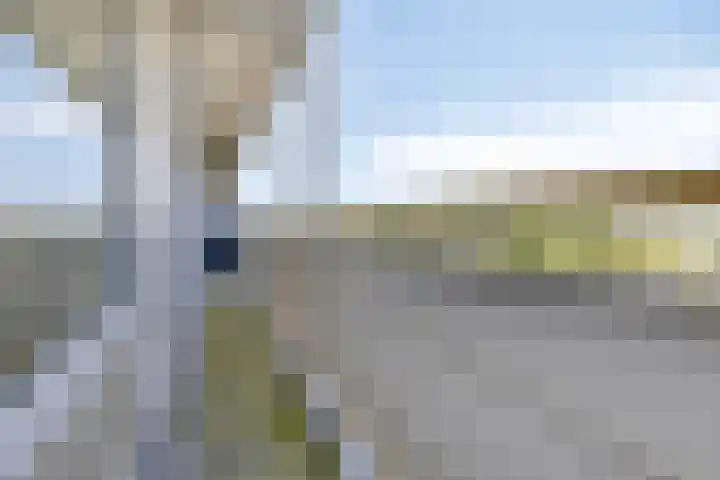Dotterlei 729 Capelle aan den IJssel thumbnail 14