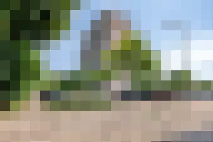 Dotterlei 729 Capelle aan den IJssel thumbnail 31