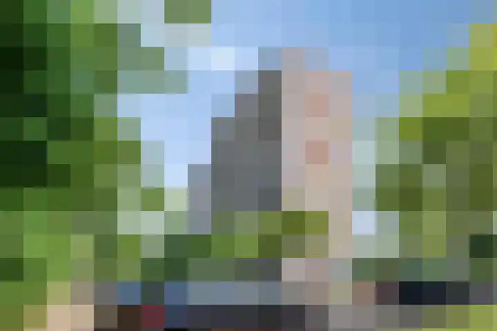 Dotterlei 729 Capelle aan den IJssel thumbnail 32