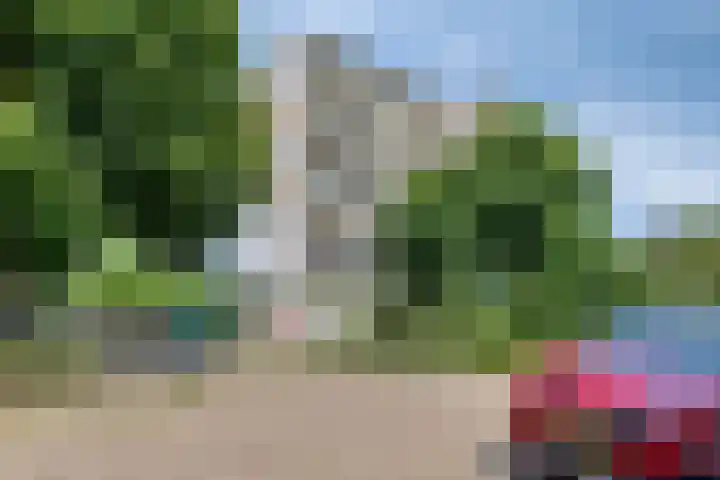 Dotterlei 729 Capelle aan den IJssel thumbnail 33