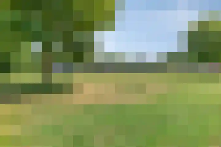 Dotterlei 729 Capelle aan den IJssel thumbnail 34