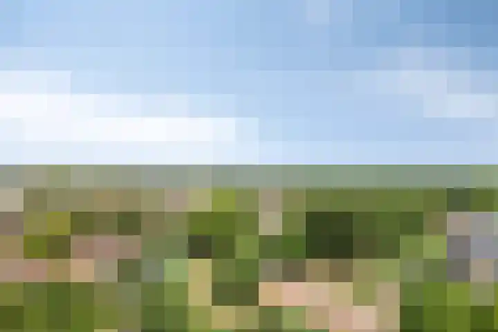 Dotterlei 729 Capelle aan den IJssel thumbnail 6