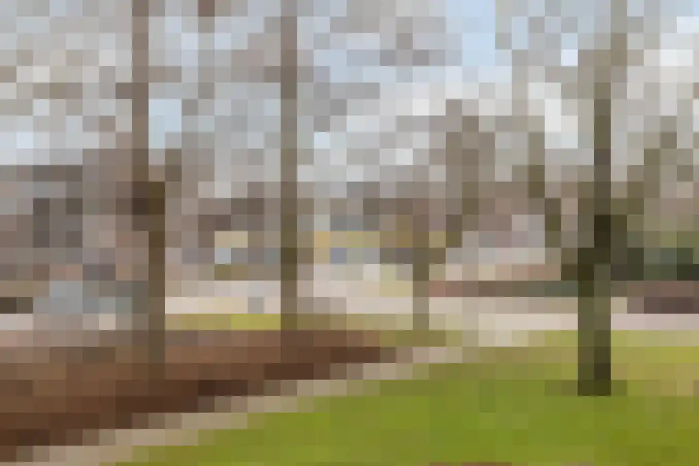 Dotterlei 733 Capelle aan den IJssel thumbnail 24
