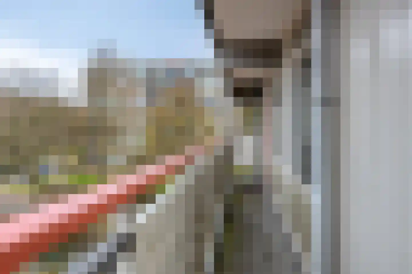Dotterlei 747 Capelle aan den IJssel thumbnail 14