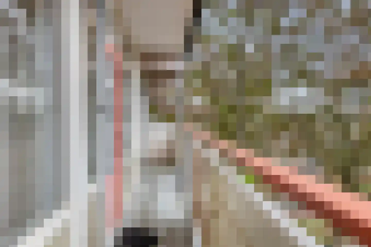 Dotterlei 747 Capelle aan den IJssel thumbnail 4