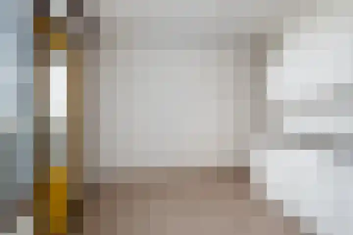 Dotterlei 767 Capelle aan den IJssel thumbnail 10