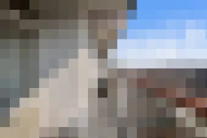 Dotterlei 767 Capelle aan den IJssel thumbnail 25