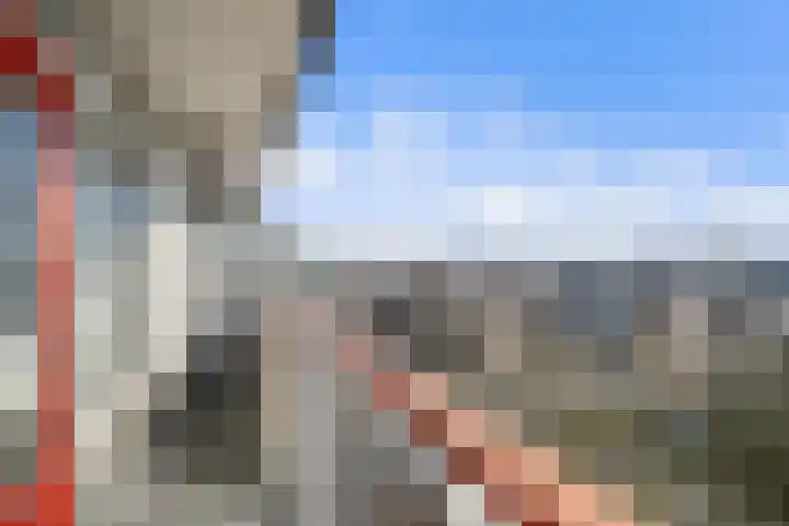 Dotterlei 767 Capelle aan den IJssel thumbnail 26