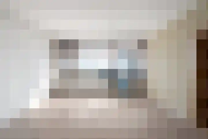 Dotterlei 767 Capelle aan den IJssel thumbnail 5