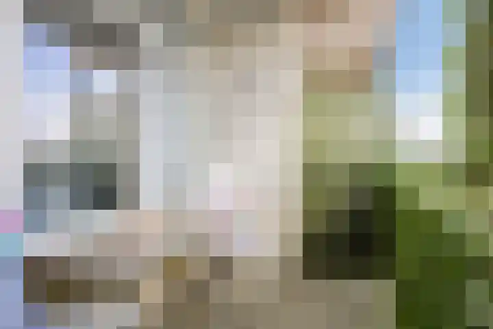 Dotterlei 769 Capelle aan den IJssel thumbnail 10