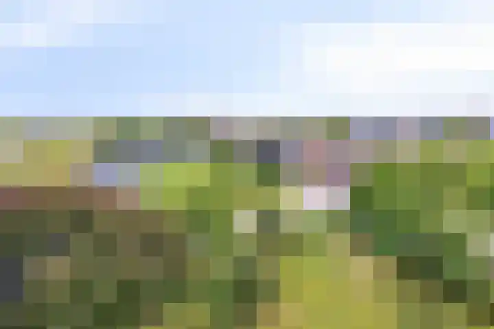 Dotterlei 769 Capelle aan den IJssel thumbnail 12