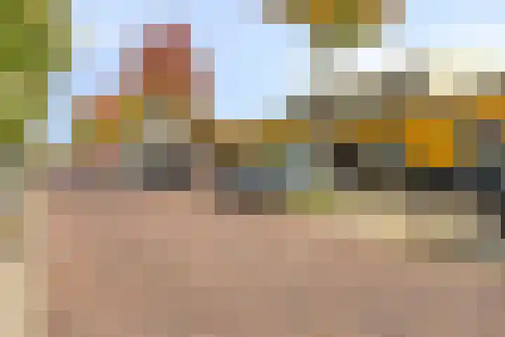 Dotterlei 769 Capelle aan den IJssel thumbnail 29